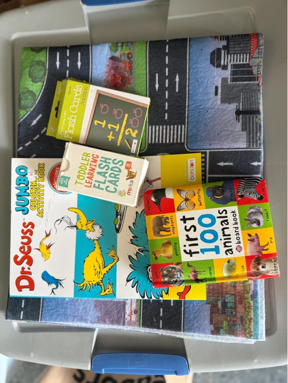 Children's Learning Bundle with Play Mat, Flash Cards, and Books
